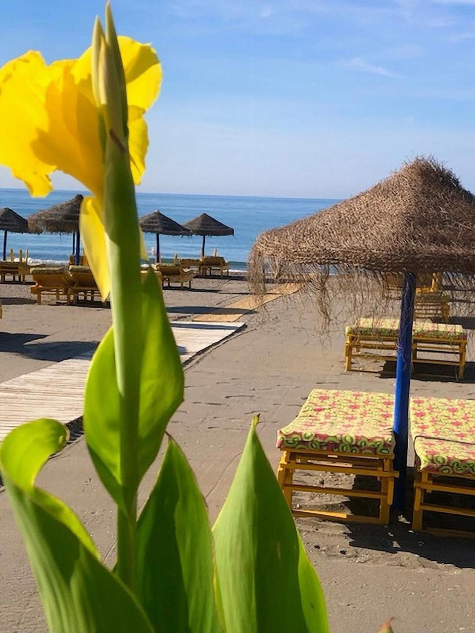 Spacious 1 Bedroom Apartment, Beach Front, Torrox Costa Exterior photo